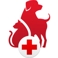 Pet First Aid